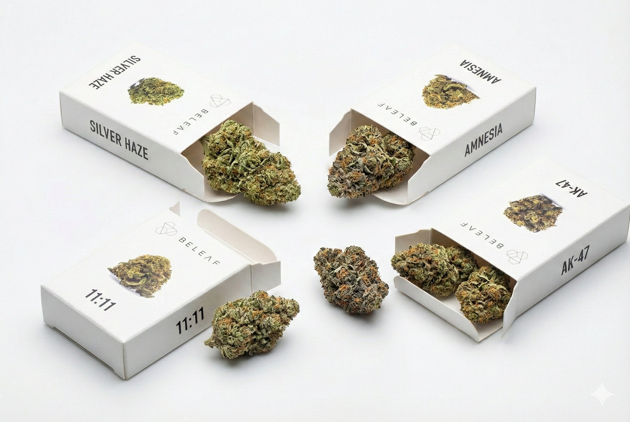 Bundle Cannabis Light